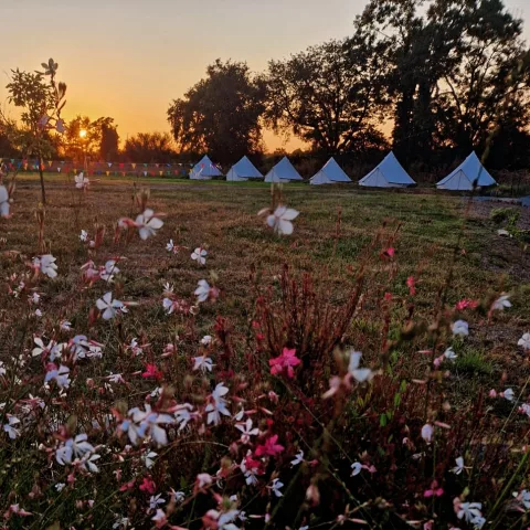 Les Tipis