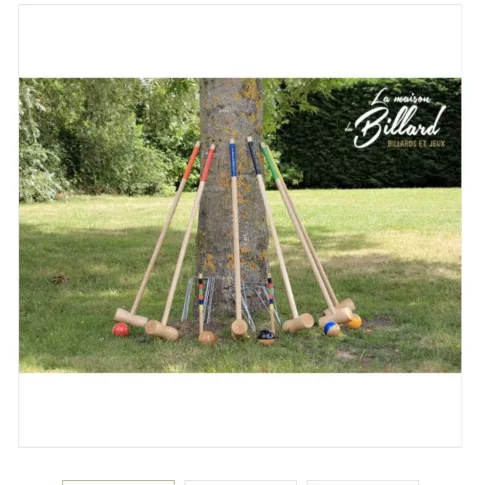 Jeu croquet