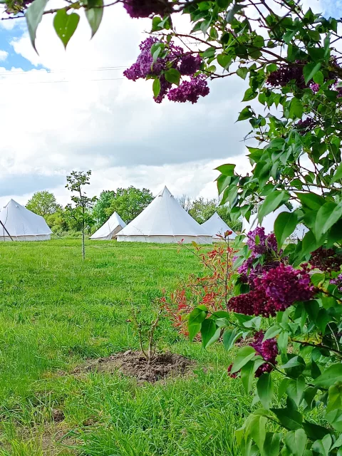 Les Tipis